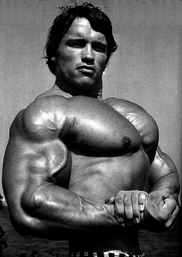 arnold schwarzenegger now and then. Arnold Schwarzenegger (below)